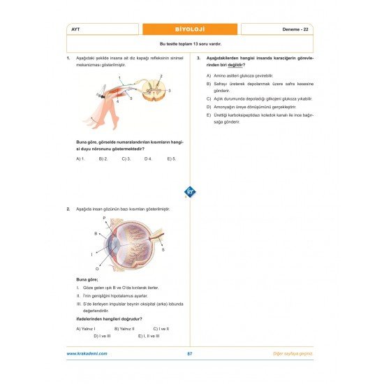 Dr. Biyoloji & Biosem AYT Biyoloji Biyopsi 25 Biyoloji Deneme