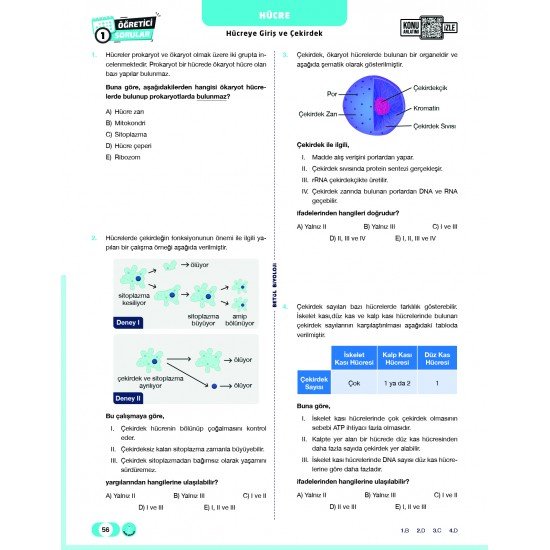 Betül Biyoloji TYT Biyoloji Soru Bankası