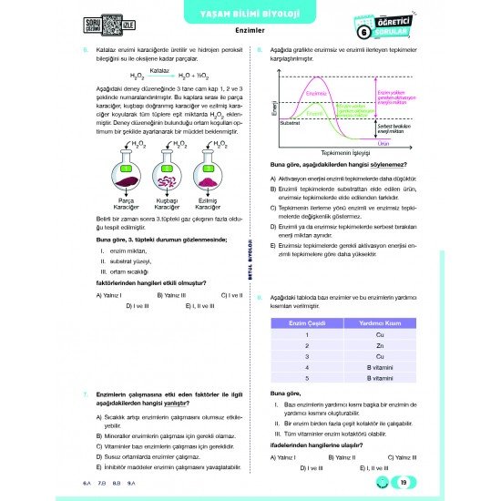 Betül Biyoloji TYT Biyoloji Soru Bankası
