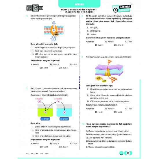 Betül Biyoloji TYT Biyoloji Soru Bankası