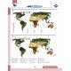 Coğrafyanın Kodları Dünya Haritaları Çalışma Defteri ve Soru Bankası (Tüm Sınavlar İçin)