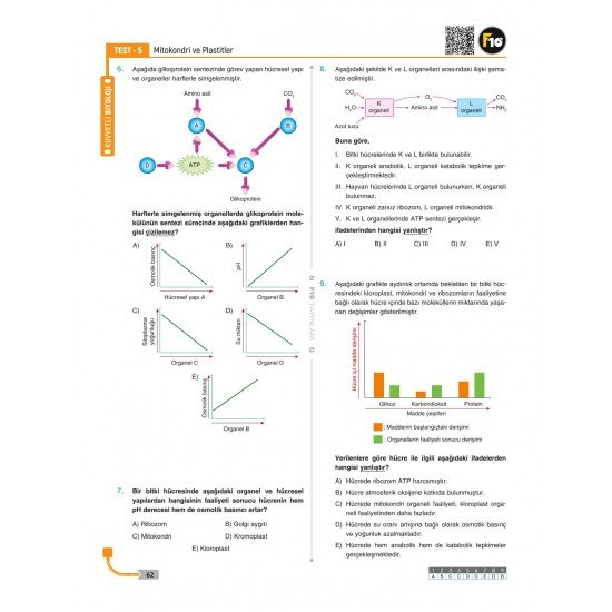 Dilek Hocayla 32 Günde TYT Biyoloji Soru Bankası F10 Yayınları