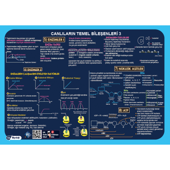 2025 TYT Poster Notlar Seti KR Akademi Yayınları